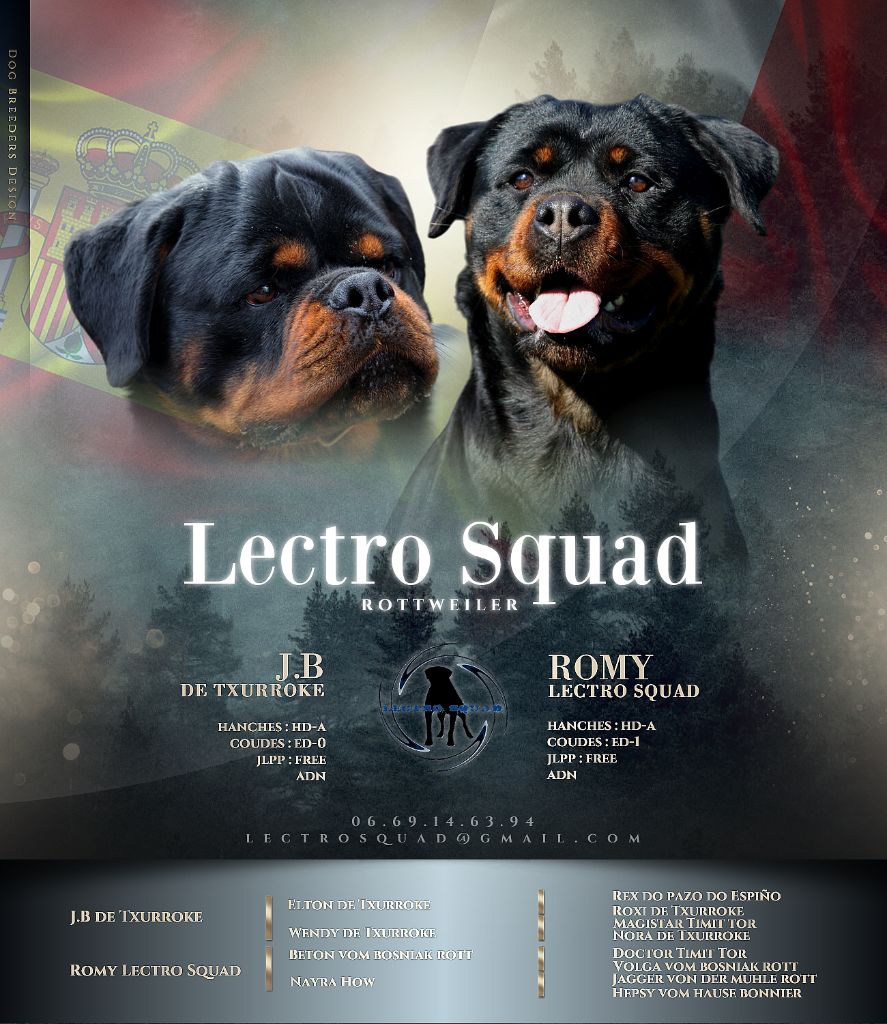 Chiot Rottweiler Lectro Squad